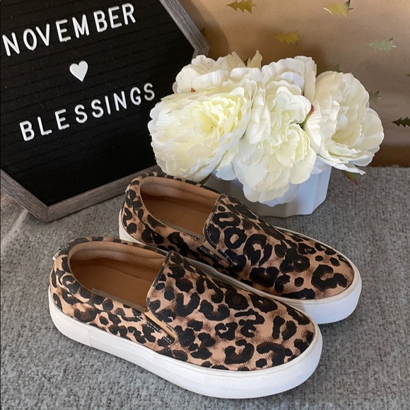 Steve Madden leopard print canvas shoes - Picture 1 of 6